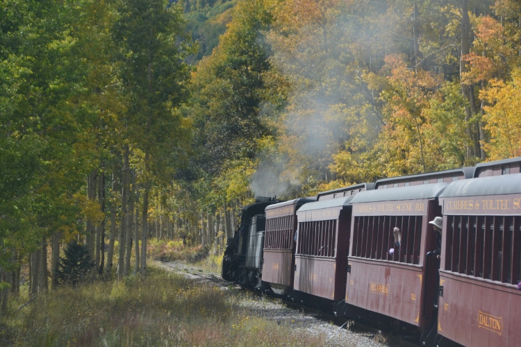 train through autumn colors